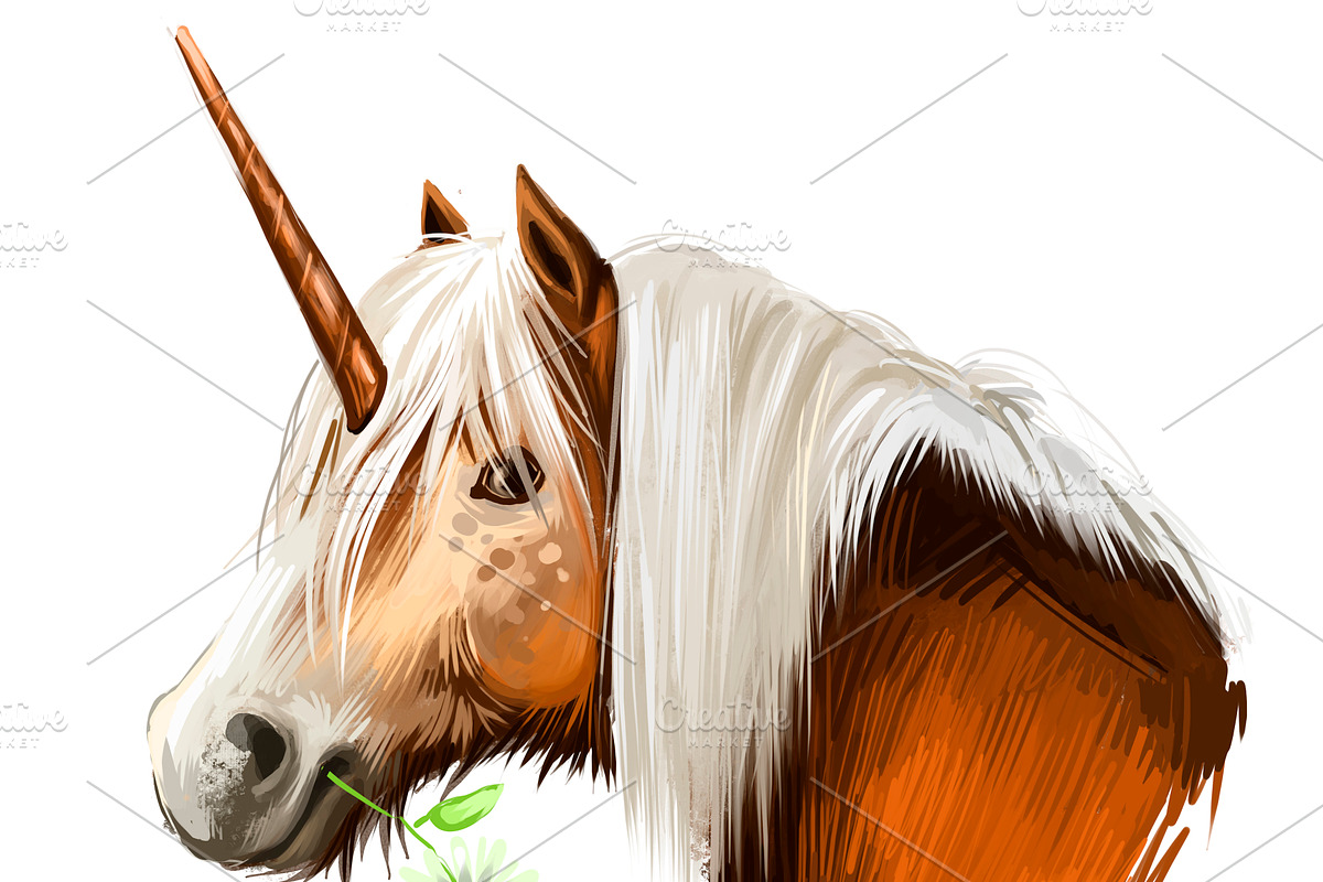 Pegasus and Unicorns 13 PSDPNG JPEG, an Animal Illustration by Dneprstock (Photo 11 of 12)