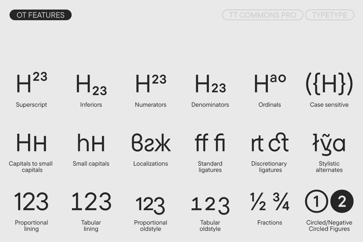 TT Commons Pro Basic, a Sans Serif Font by TypeType (Photo 12 of 15)
