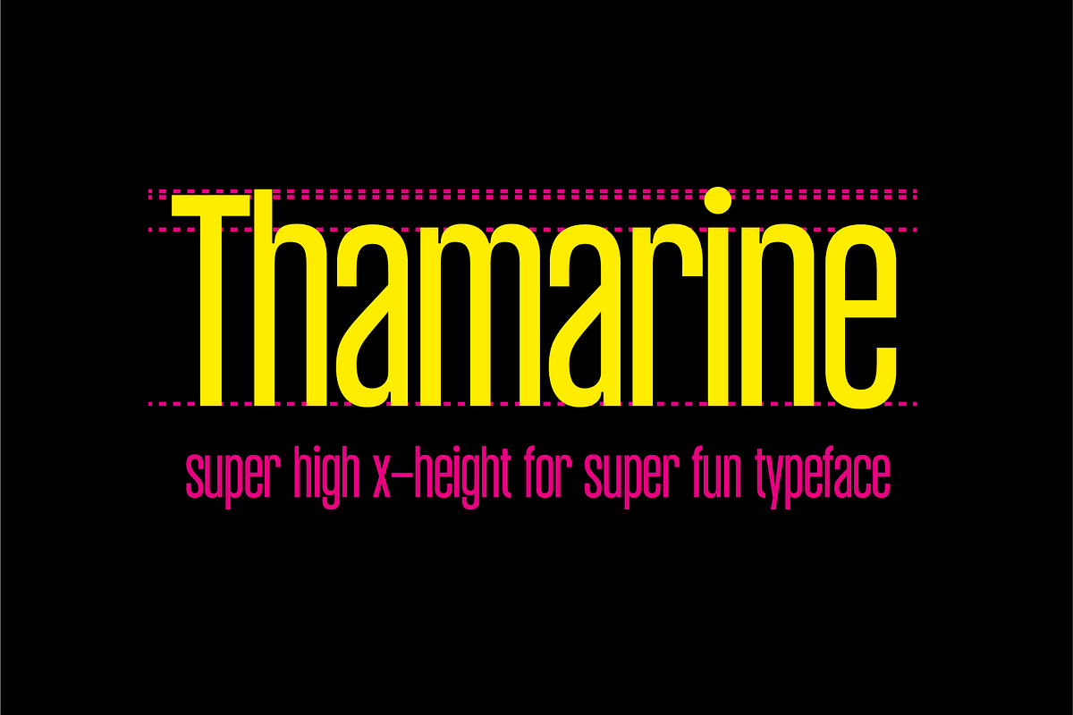 Thamarine Condensed Sans Font, a Sans Serif Font by PeanutButter Type (Photo 3 of 9)