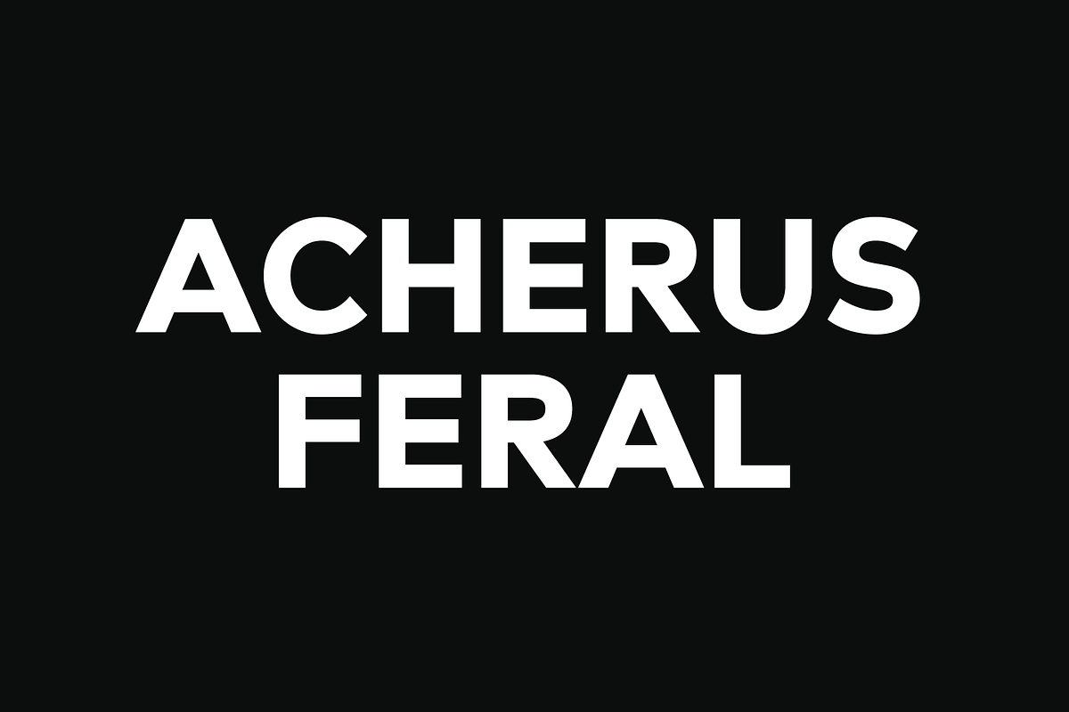 Acherus Feral 30% Off, a Sans Serif Font by Horizon Type Foundry (Photo 1 of 17)
