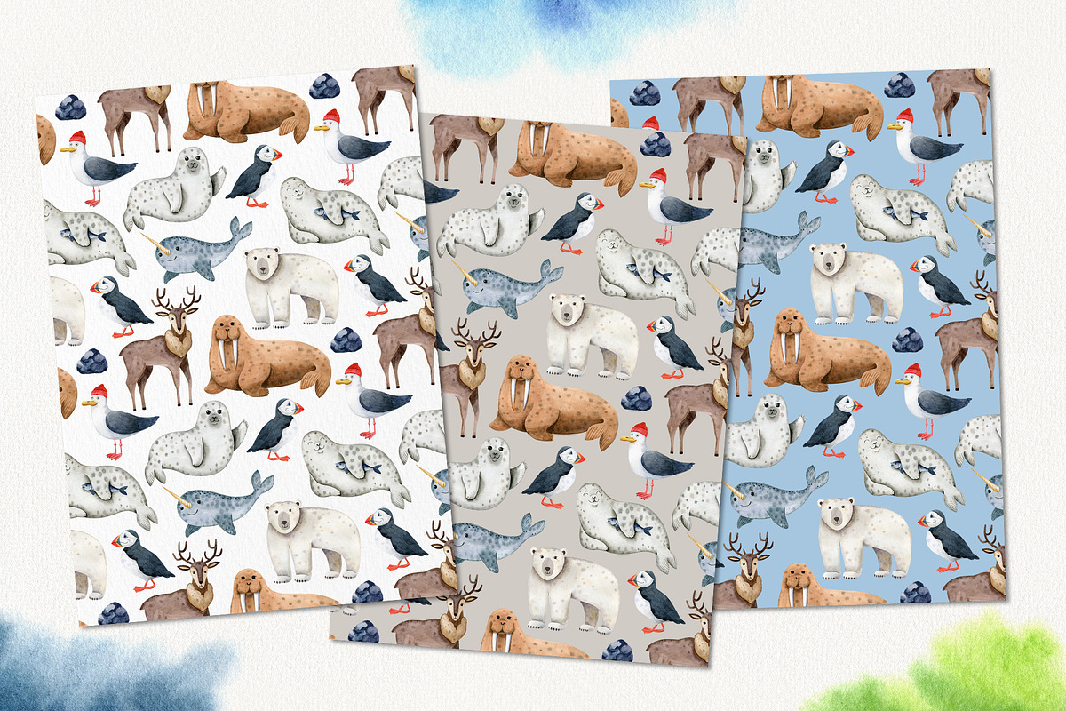 Northern Sea Watercolor Set, an Animal Illustration by Natalia Fedorova (Photo 12 of 16)