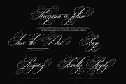 Brilliani Script Pro, a Script Font by Has_rizal (Thumbnail 11 of 14)