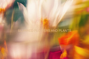Light Flora Collection, a Background Graphic by NKate (Thumbnail 7 of 12)