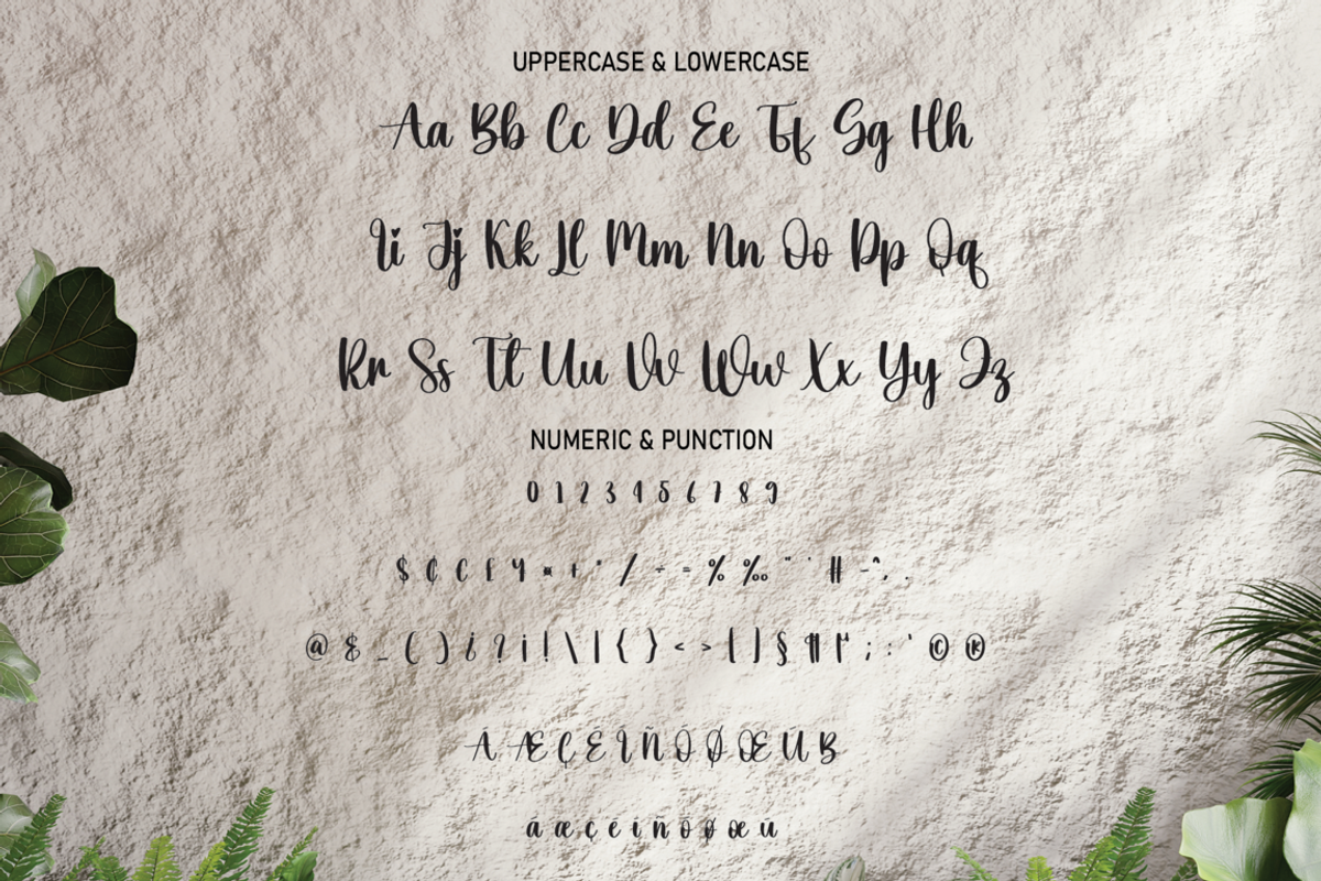 Onegreen | Script Font, a Script Font by Scratchones (Photo 6 of 7)