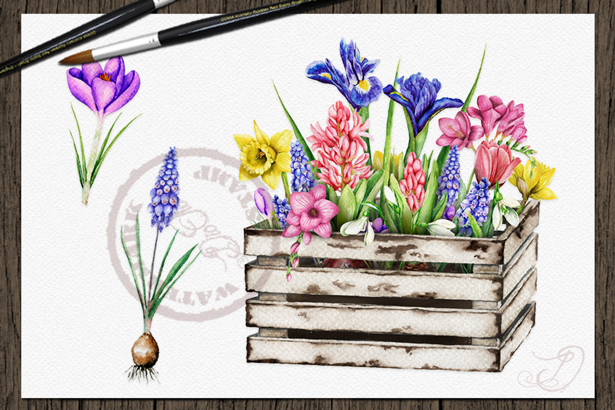 Spring Bulbs Illustration, a Decorative Illustration by DioFlow