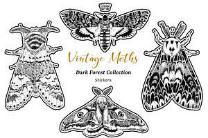 Vintage Moths Dark Forest Collection