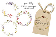 Wild flowers, poppies watercolor set, a Texture Illustration by Larisa Maslova (Thumbnail 12 of 12)