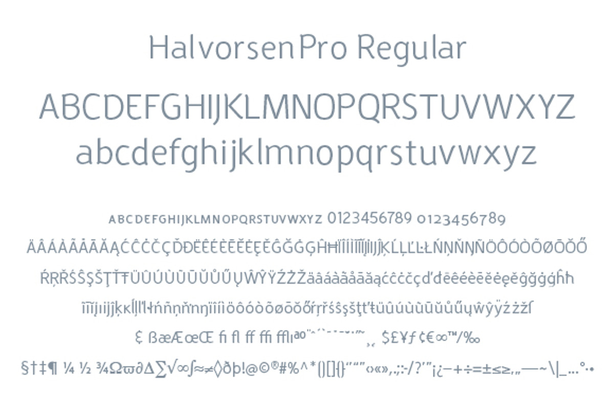 HalvorsenPro Regular preview 2