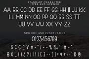 Autumn Harvest, a Sans Serif Font by InermediaSTUDIO (Thumbnail 3 of 8)