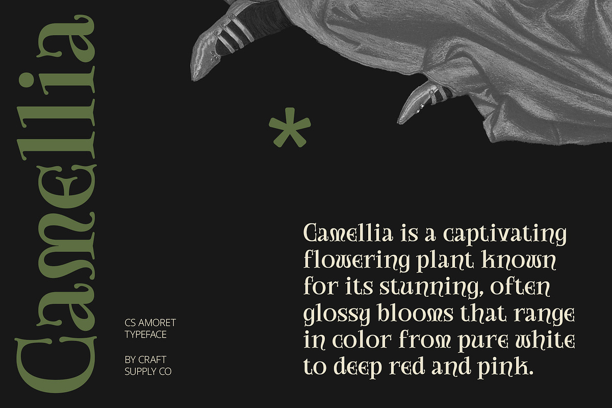 CS Amoret – Art Nouveau Font, a Serif Font by Craft Supply Co. (Photo 3 of 8)