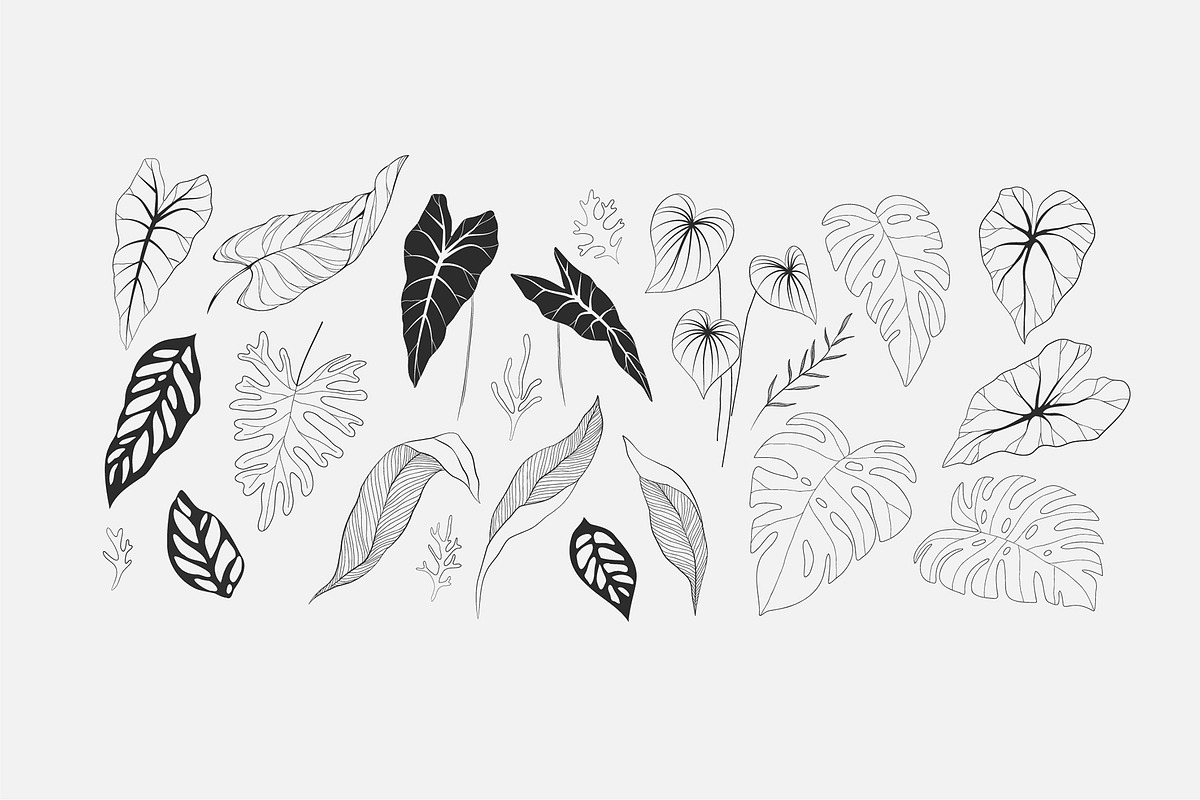 Tropical collection, a Decorative Illustration by Merfin (Photo 5 of 10)