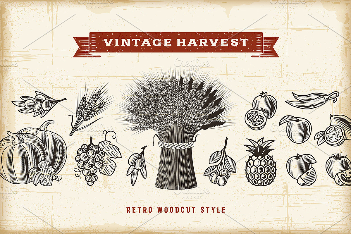 Vintage Harvest Set, a Food Illustration by Retro Graphics (Photo 1 of 2)