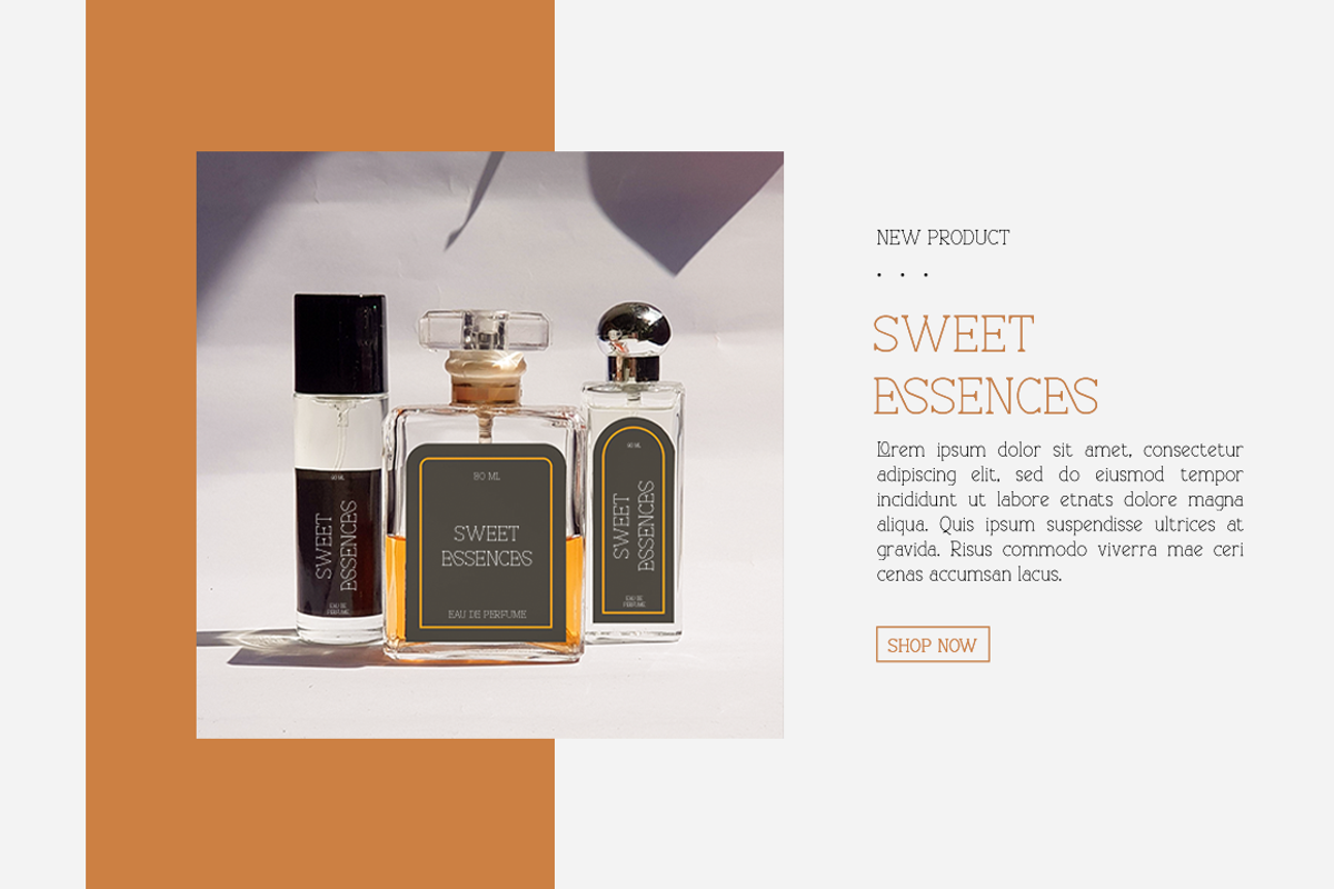 Blissful - Modern Stylish, a Serif Font by RockboyStd (Photo 2 of 12)