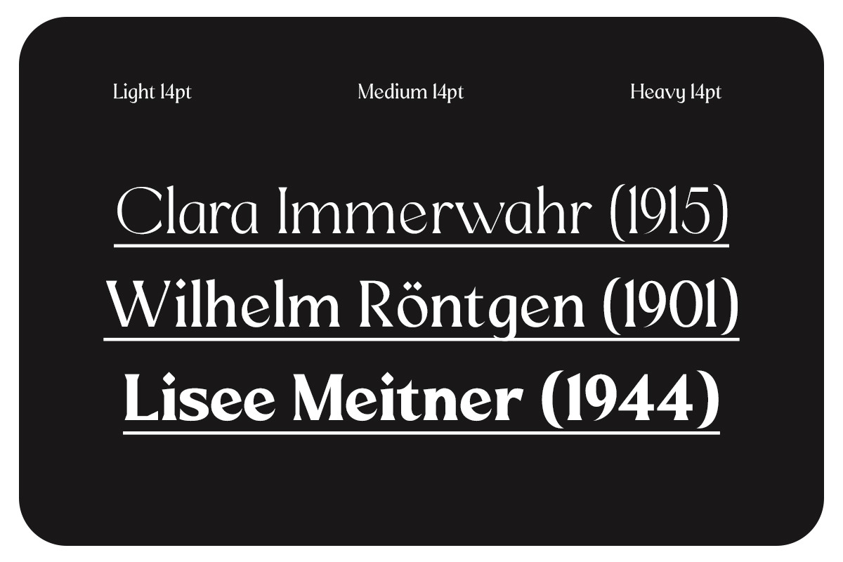 Mizhon Serif | 12 Font, a Serif Font by Skinny Type (Photo 5 of 8)