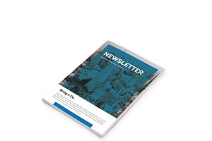 Bring N Co - Corporate Newsletter