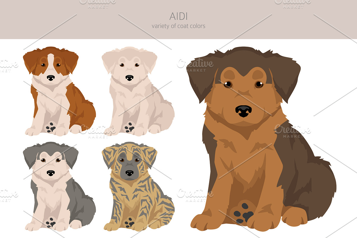 Aidi dog clipart, an Animal Illustration by pet design shop (Photo 2 of 6)