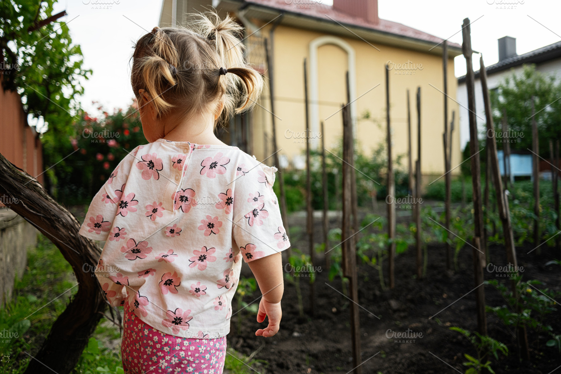 Little girl exploring a backyard garden filled with growing plants, a Person Photo by AS photostudio