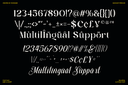 Stylish Harmony - Duo Luxury Font, a Serif Font by Font Liner (Thumbnail 10 of 10)