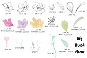 Floral Photoshop Brushes, a Brush Add-On by Create The Cut (Thumbnail 3 of 5)