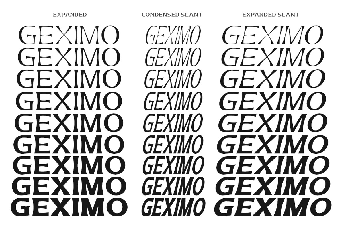 Geximo Family, a Sans Serif Font by IM Studio (Photo 10 of 12)