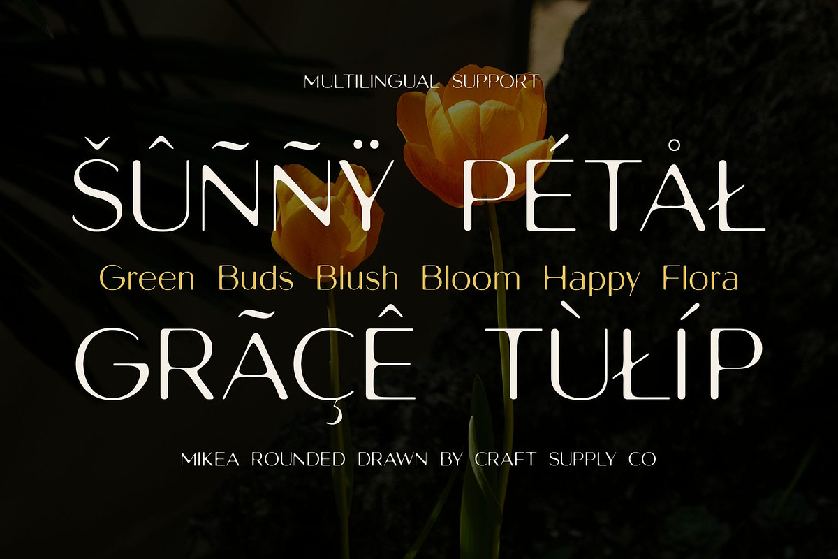 Mikea Rounded Drawn, a Sans Serif Font by Craft Supply Co. (Photo 3 of 8)