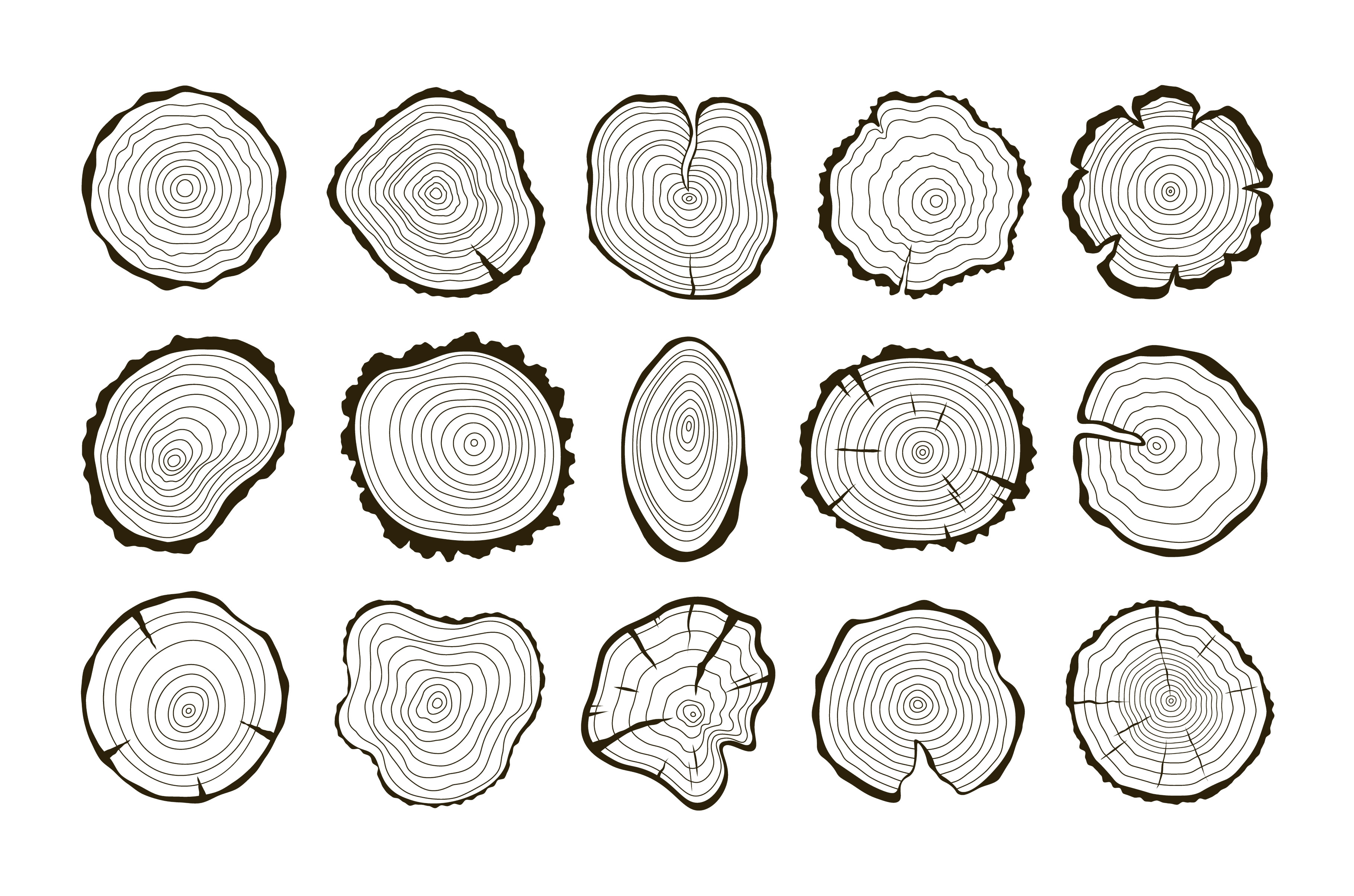 Wood trunk rings, circular stump, a Background Graphic by LadadikArt