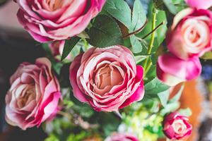 Bouquet rose flower background containing artistic, beautiful, and birthday