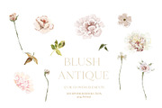 -20% Blush Antique Floral collection, an Illustration by Grace Noboa Illustrations (Thumbnail 4 of 8)