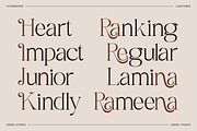 Rameena - Modern Elegant Serif, a Serif Font by Sohel Studio (Thumbnail 10 of 10)