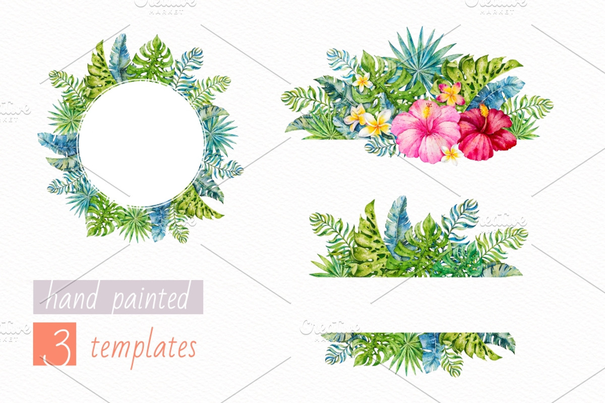 Tropics.Watercolor collection, an Animal Illustration by Ekaterina Mikheeva (Photo 5 of 7)