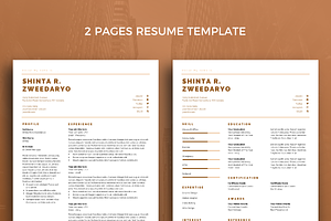 Resume Template 41