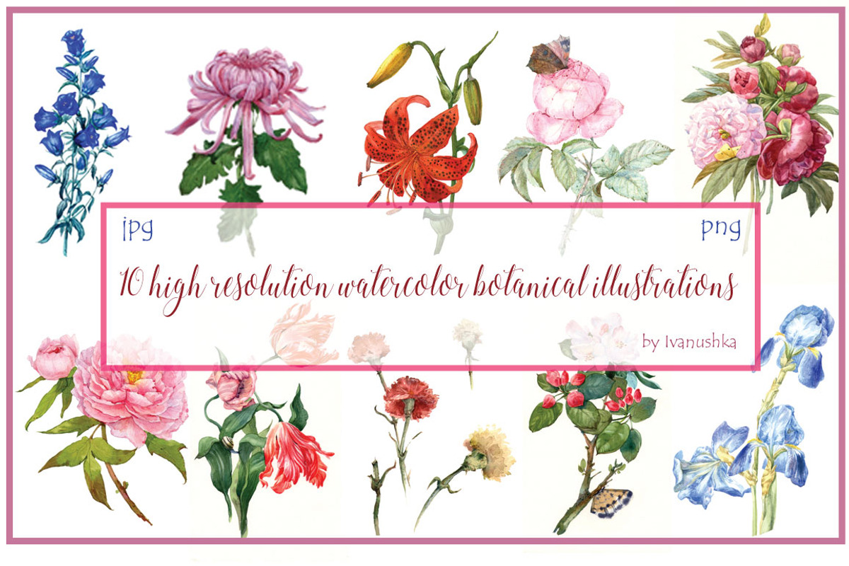 Watercolor botanical flowers, a Decorative Illustration by ivanushka-art (Photo 5 of 5)