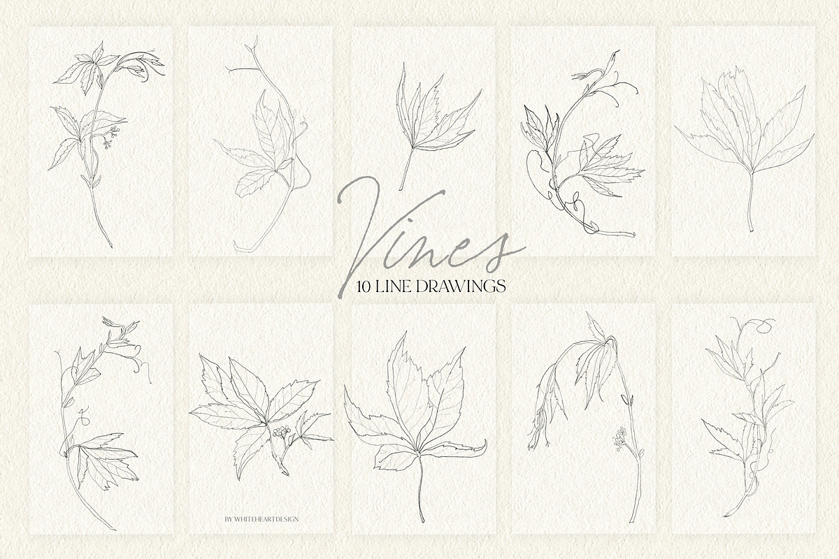 Vines Abstract Watercolor Clipart, a Decorative Illustration by whiteheartdesign (Photo 5 of 9)