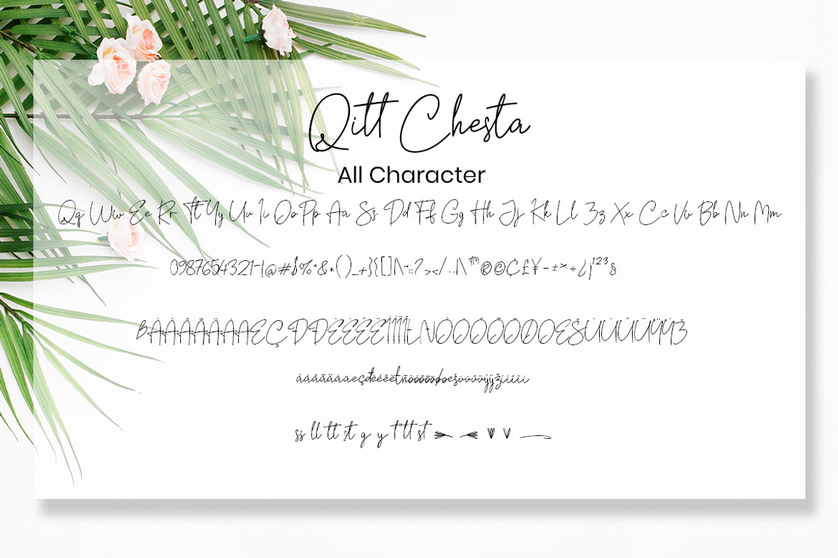 Qitt Chesta Script Monoline, a Script Font by MC Creative (Photo 6 of 7)