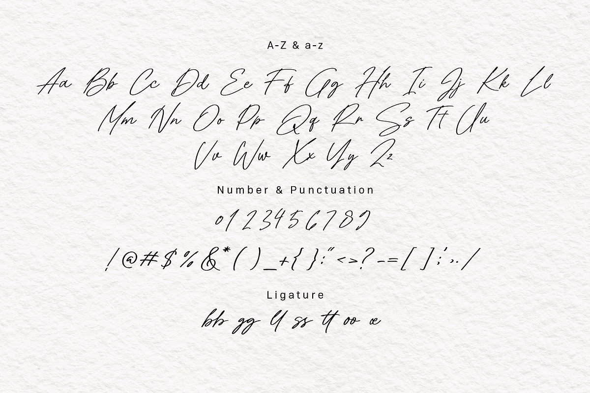 Shuterstone | Elegant Script, a Script Font by MJB Letters (Photo 10 of 10)