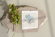 Aesthetics Flower | Illustration Kit, a Decorative Illustration by KetteCreate (Thumbnail 2 of 19)