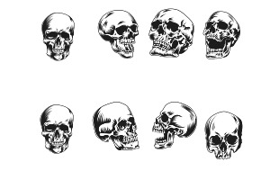 Vintage Skull Set 3 Procreate Brush