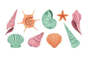 Hand drawn seashell. Sea shells, an Animal Illustration by winwin.art