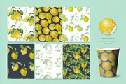 Lemon Collection, a Food Illustration by oKOLOstyle (Thumbnail 4 of 8)