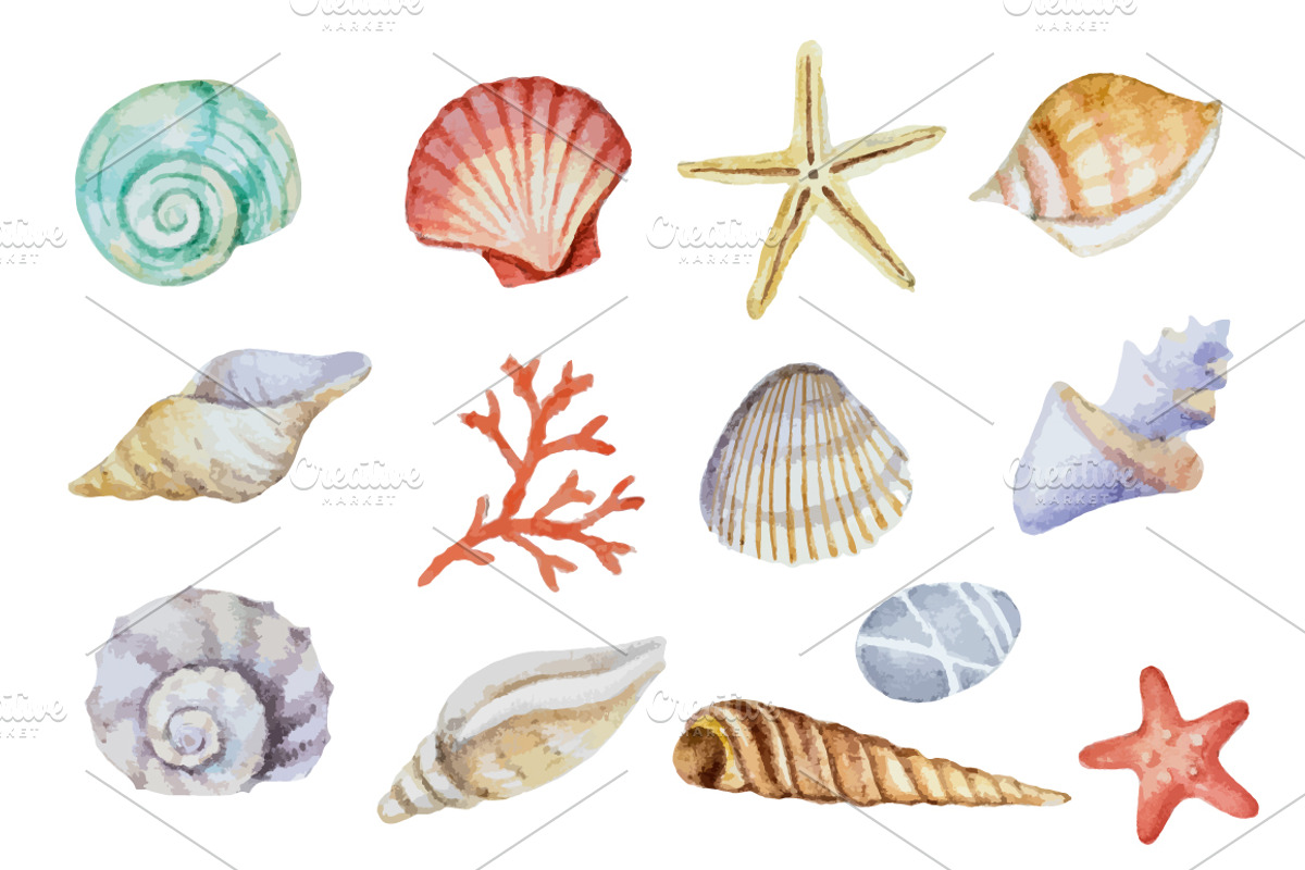 Watercolor seafood collection., a Food Illustration by Elena Medvedeva (Photo 4 of 5)