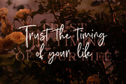 Millea Beatrice Signature Font, a Script Font by Kotak Kuning Studio (Thumbnail 6 of 9)