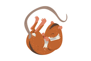 Field Mouse Sleeping on Its Back, an Animal Illustration by TopVectors