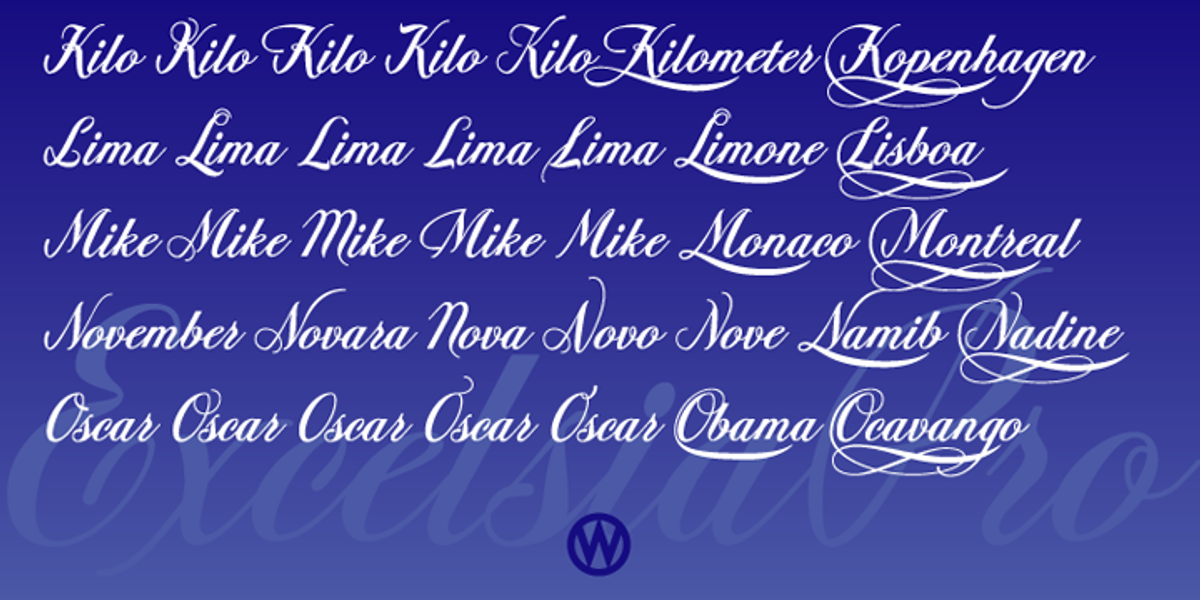 Excelsia Pro, a Script Font by Wiescher-Design (Photo 8 of 11)
