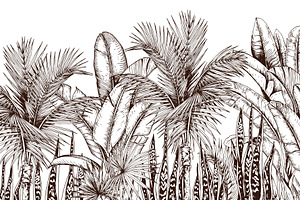 Tropical black& white plants, a Decorative Illustration by Jeanna Draw