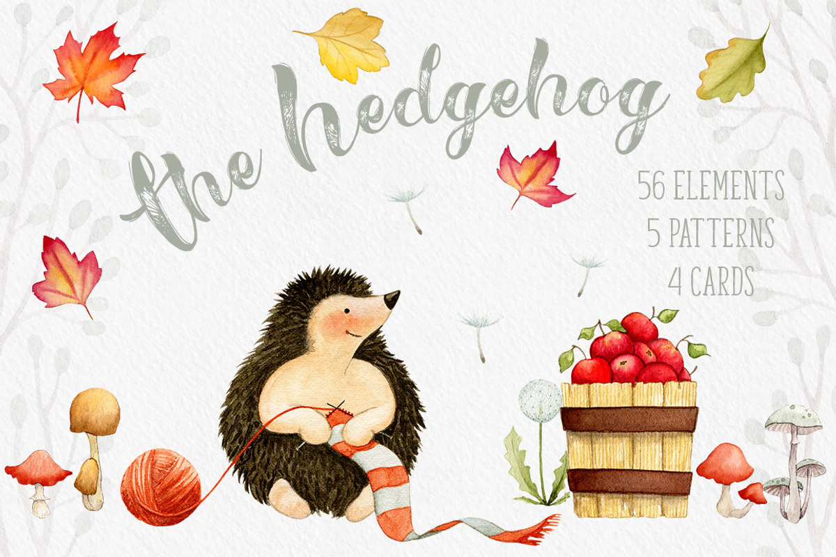 The Hedgehog - Mini Collection, an Illustration by Watercolor Nomads (Photo 1 of 4)