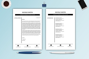 Professional Resume / CV -V023