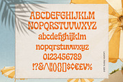 Laguna Tropic – Tropical Font Duo, a Serif Font by Edignwn Type (Thumbnail 11 of 12)