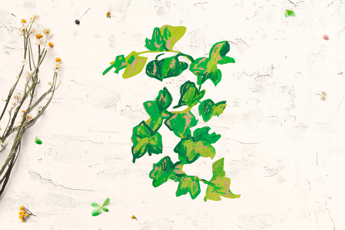 Crayon Ivy & Grape Vine Clipart, a Healthcare Illustration by Lucyinyourheart (Photo 4 of 5)