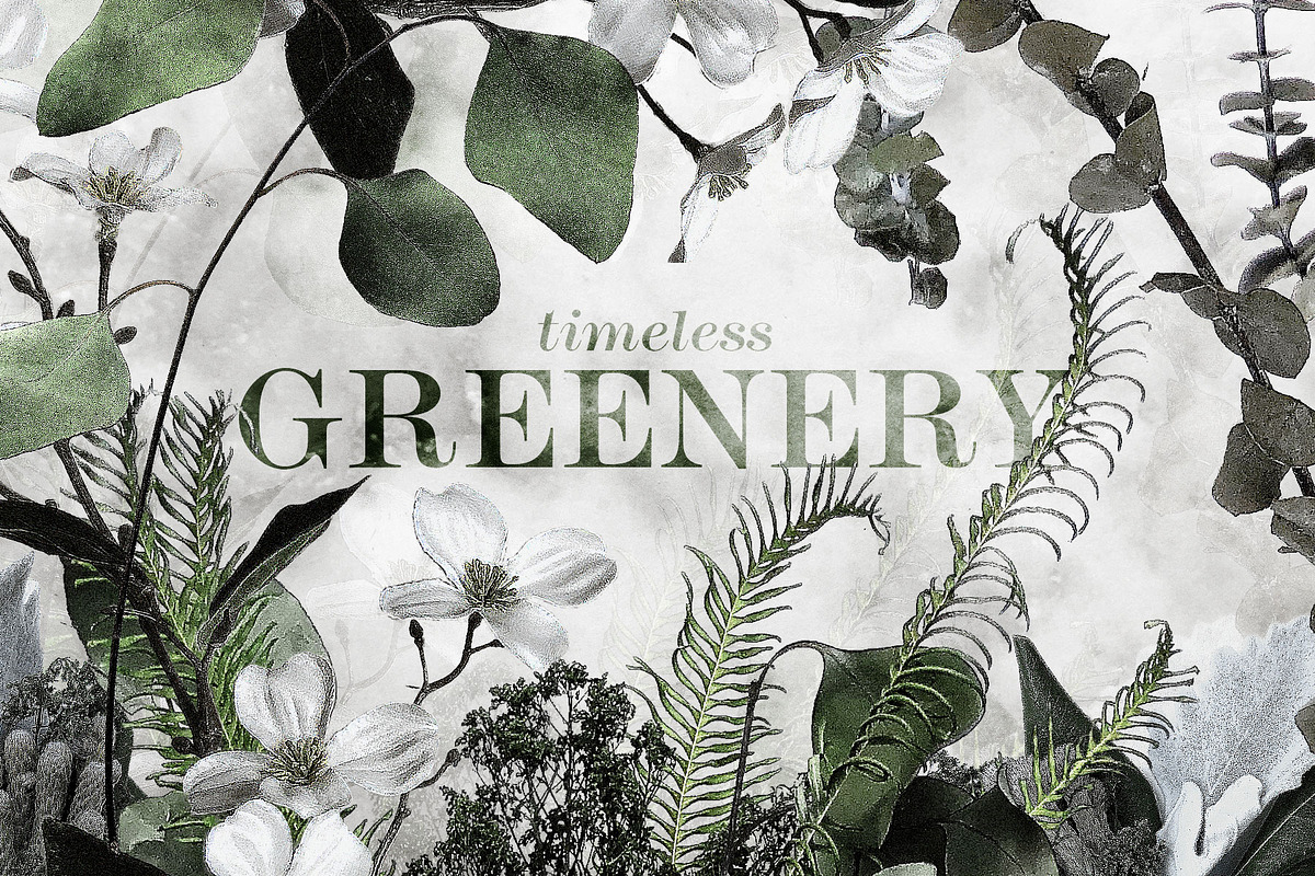 Timeless Greenery – Crafted Clip Art, a Texture Illustration by Scott Howard (Photo 1 of 7)