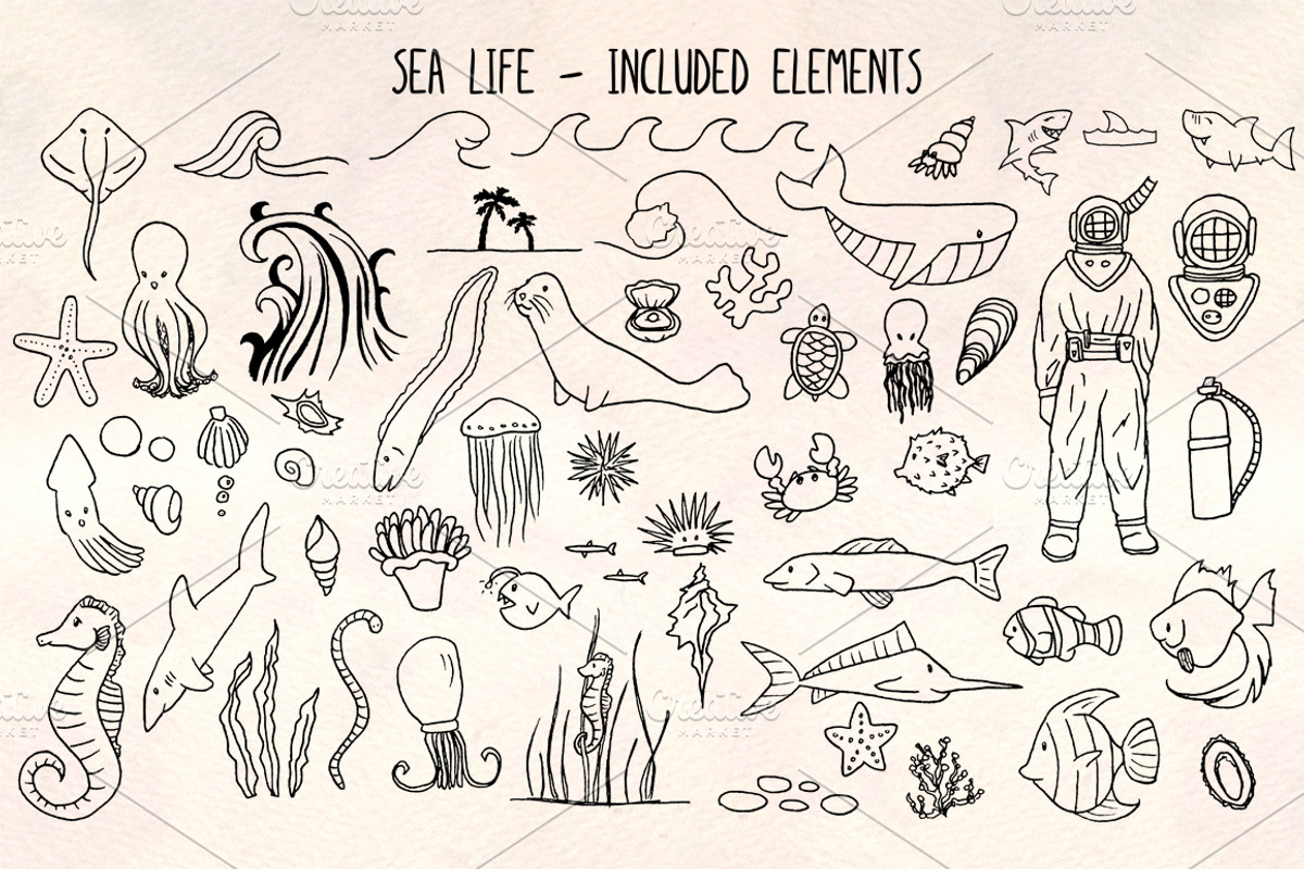 Sea Animals - 60 Ocean Vector Bundle, a Decorative Illustration by Violet LeBeaux (Photo 1 of 3)